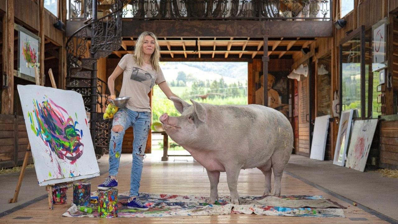 Inspiring Farm Sanctuary And Famous Painting Pig Hotel Franschhoek Exterior photo