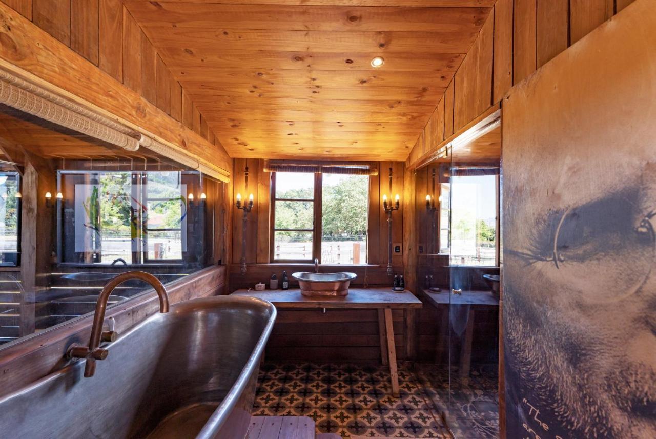 Inspiring Farm Sanctuary And Famous Painting Pig Hotel Franschhoek Exterior photo